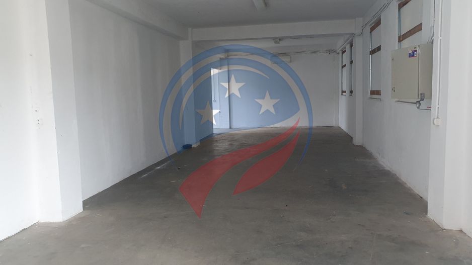 2 HALE de 357 mp si 474 mp  si teren intravilan de 5423 mp  Isalnita - Poză 10