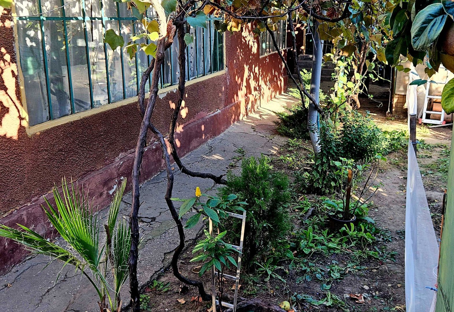 Casa cu teren Bucurestii Noi - Pod Constanta 220mp - Poză 3