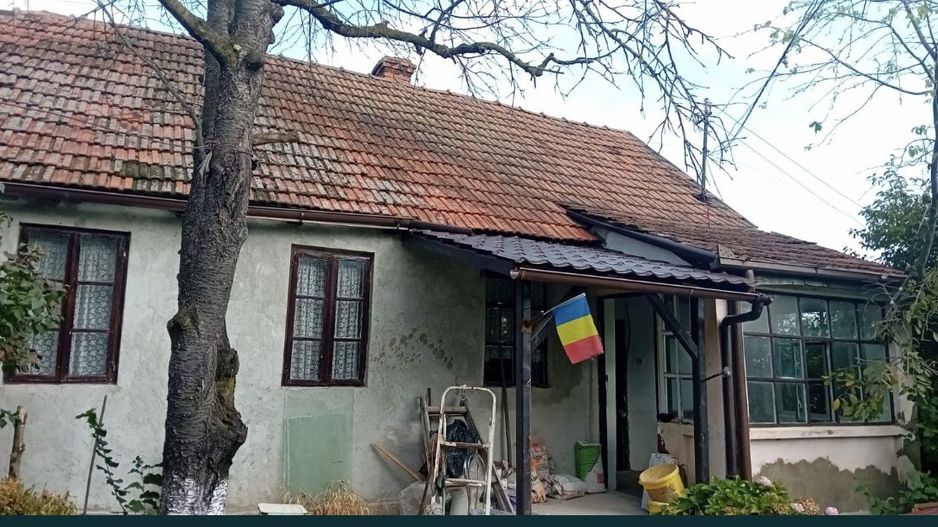 Casă / Vilă în Viile Satu Mare - Poză 2