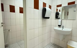 Spatiu de birouri I 186 mpu I Etajul 1 I Zona Sub arini - Poză 11