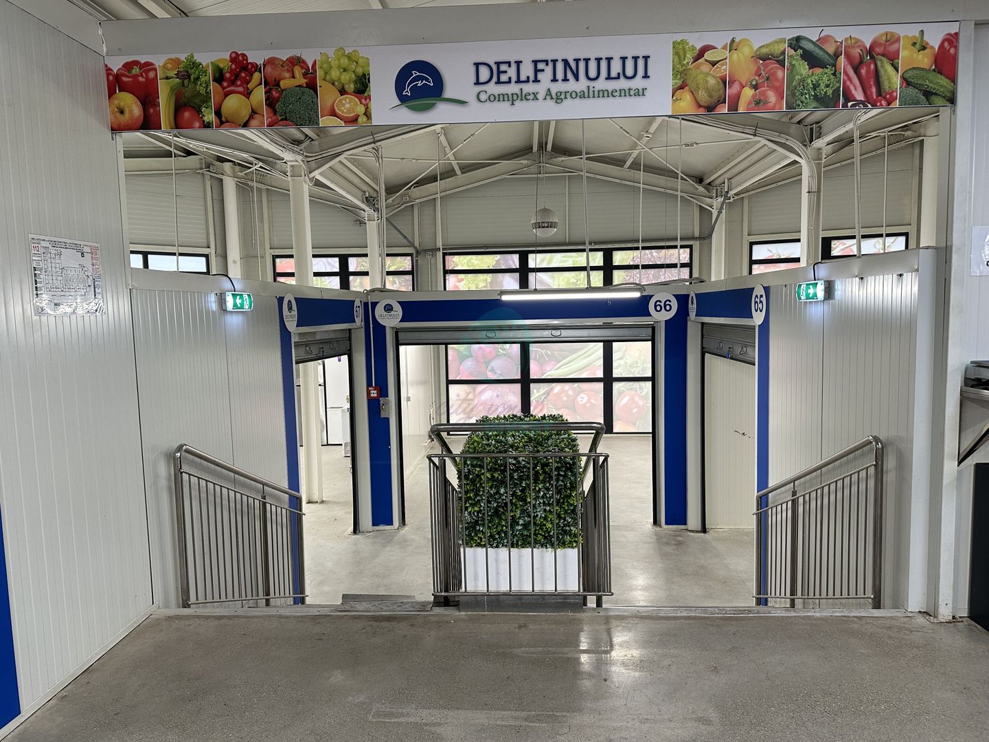 Spatii comerciale de inchiriat in PIATA DELFINULUI - Poză 3