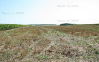 Belciugatele - laga Complexul Turistic Valea Iazurilor, 19720 mp. cu deschidere la balta - Poză 7