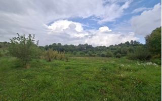 TEREN 20.621 MP CAMPULUNG - Poză 4