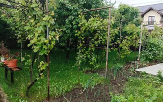 Casa tip duplex Sfântu Ilie/Suceava - Poză 19