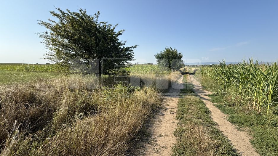 Teren extravilan | Rădăuți | 600 m de centură | 20 m front - Poză 1