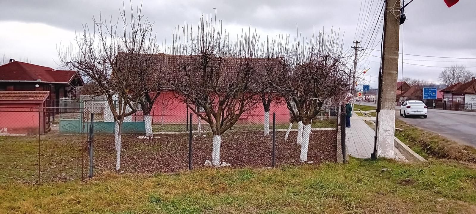 OFERTĂ in Băcia, Hunedoara ! Proprietate 2 case + Cabană + Livadă - Poză 25