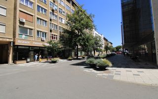 Piata Victoriei, 3 camere, pet-friendly - Poză 18