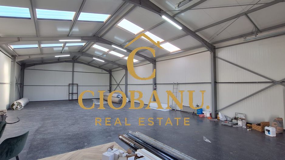 Hala de vanzare in Racarii de Jos - Poză 10