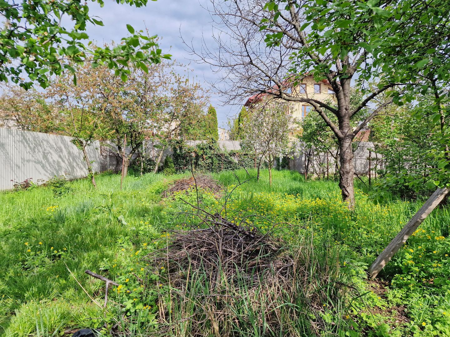 Teren spațios cu casă veche in Vlaicu - Poză 7