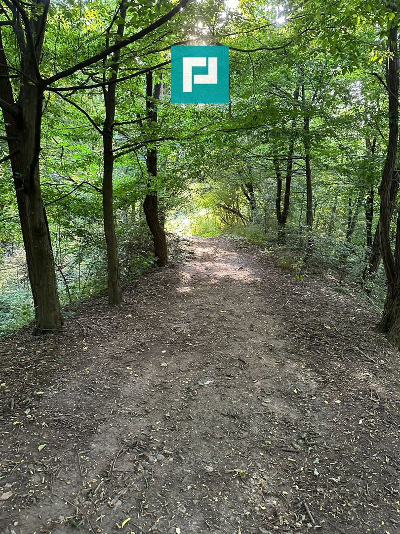 Teren Intravilan, în orașul Sebiș, Arad - Poză 31