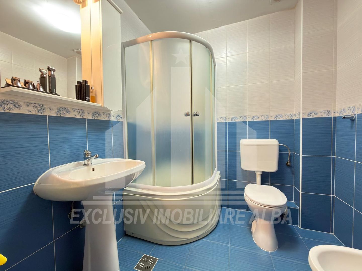 Casa insiruita | De vanzare | 160 mp | Centru-Lipoveni - Poză 10