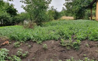 Teren intravilan construcții casă-2.607 mp. - Poză 1