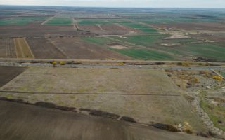 Teren 22.500 mp – Pecica, jud. Arad - Poză 8