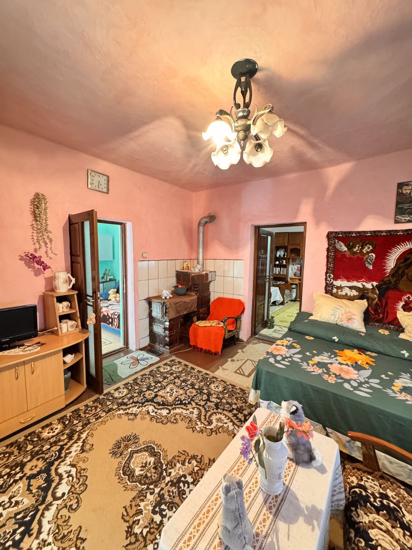 Casă de vânzare în Roit, lângă Oradea – teren 1.413 mp - Poză 7