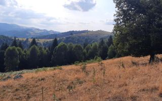 Teren Extravilan | 19.593 MP | Zona Saliste - Poză 1