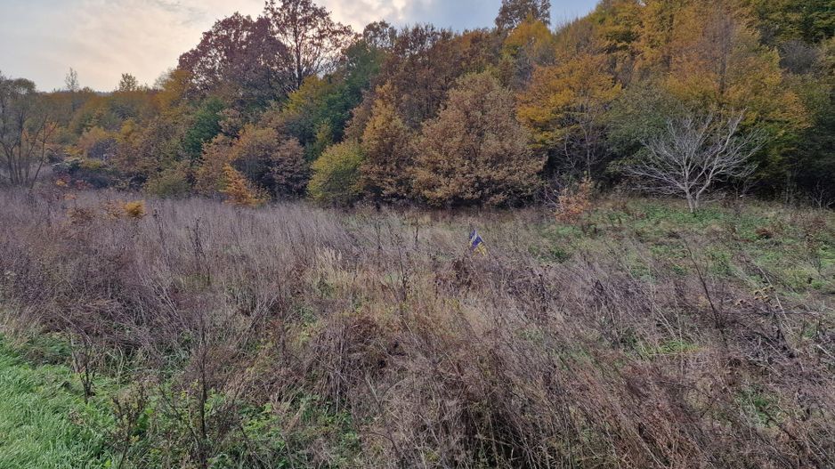 Teren 1,717mp Margineni / Strada Sat podis - Poză 10