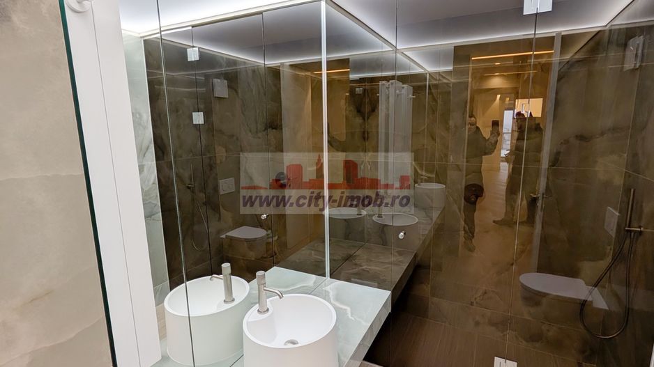 Innhiriere Penthouse Iancu Nicolae Gradina Zoologica - Poză 21