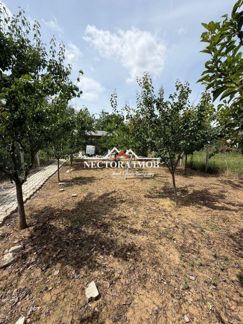 NECTORA IMOB-Teren Intravilan Str. Piersicilor, Fundatie, Utilitati - Poză 13