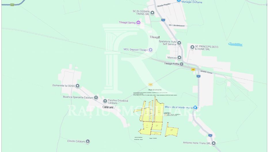 Teren agricol 19,87ha | Acces la drum public | Tileagd | Bihor - Poză 4
