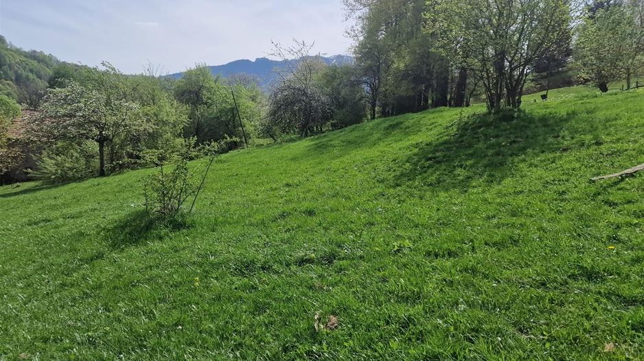 Langa emblematicul Castelul Bran, in areal colinar, 5.700mp intravilan - Poză 15