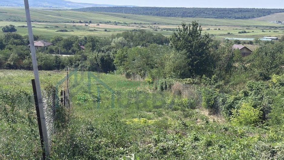 Teren intravilan de vanzare in Sat Ciurea, Comuna Ciurea, Judetul Iasi - Poză 2