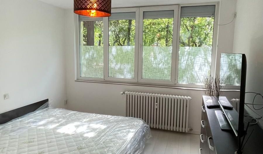 APARTAMENT  SPATIOS  ZONA  KISELEFF - Poză 7