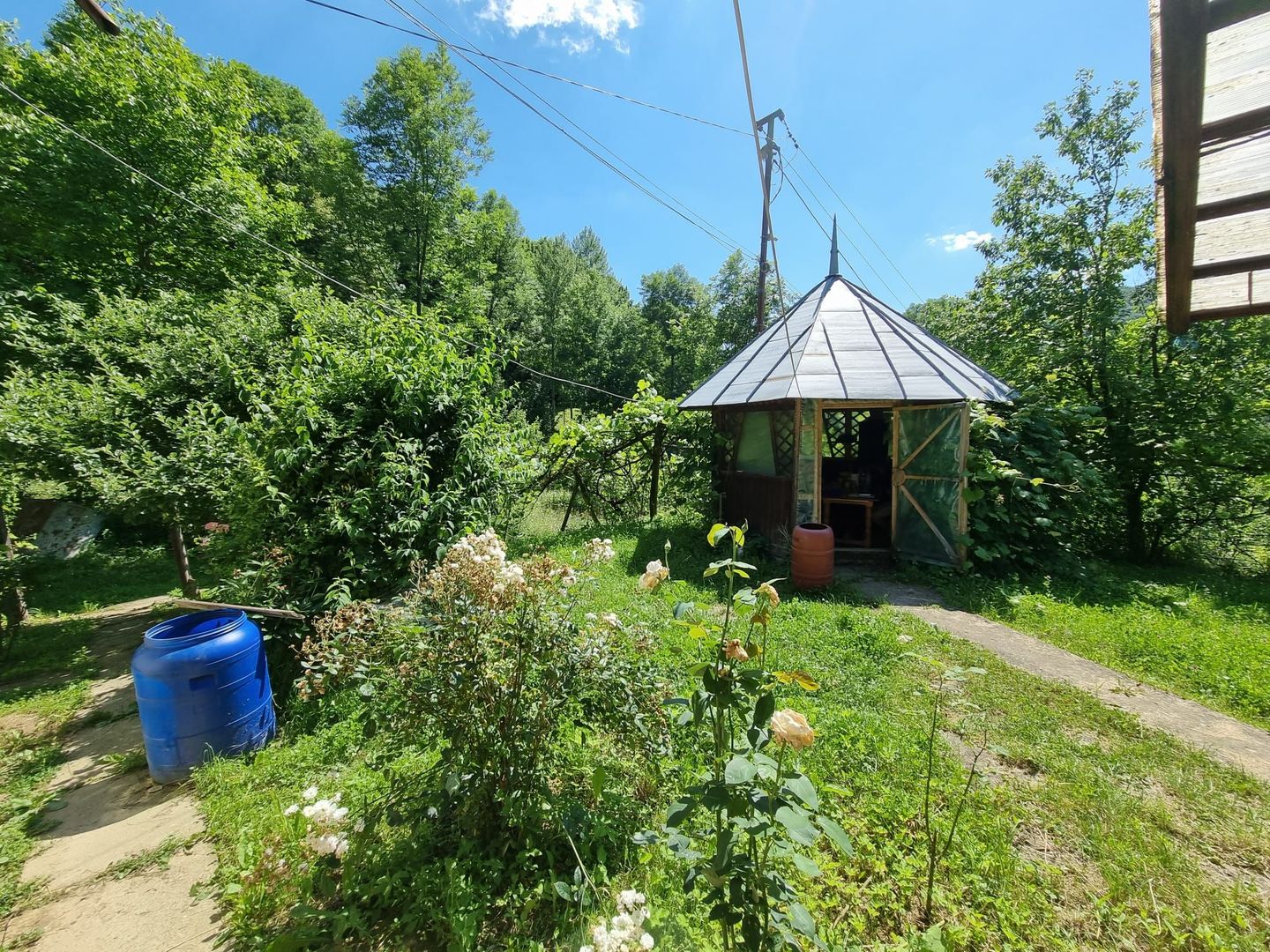 Casa de la marginea padurii! - Poză 5