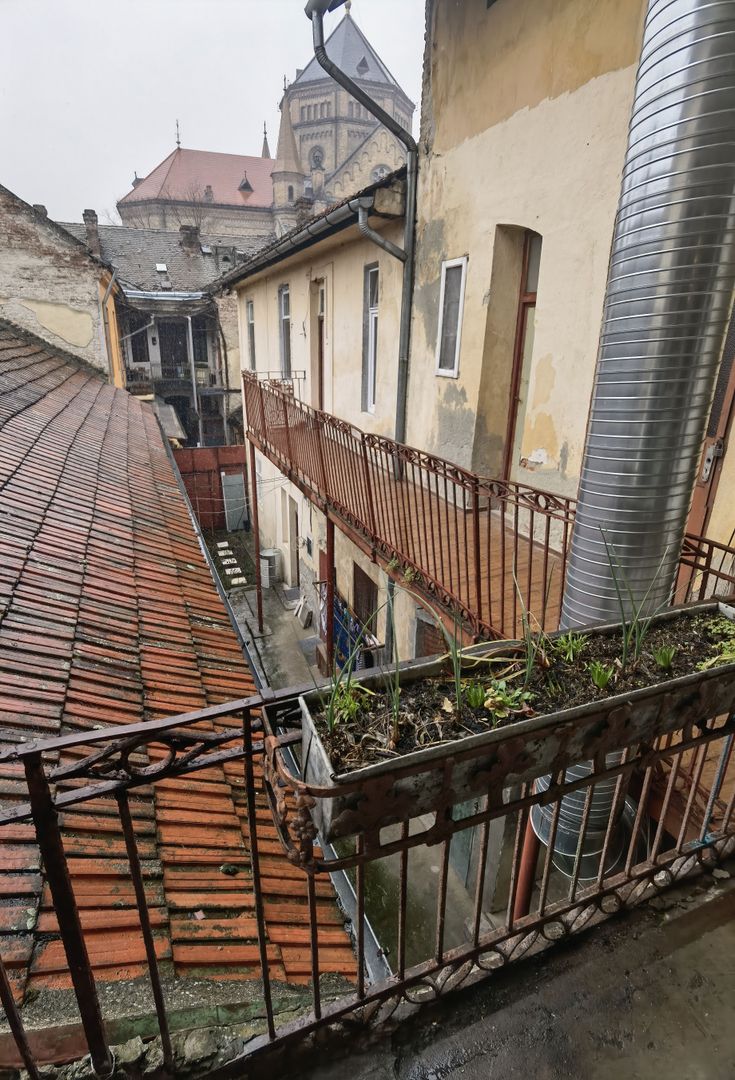 Casa cu apartamente si SAD -uri in zona Traian - Poză 11