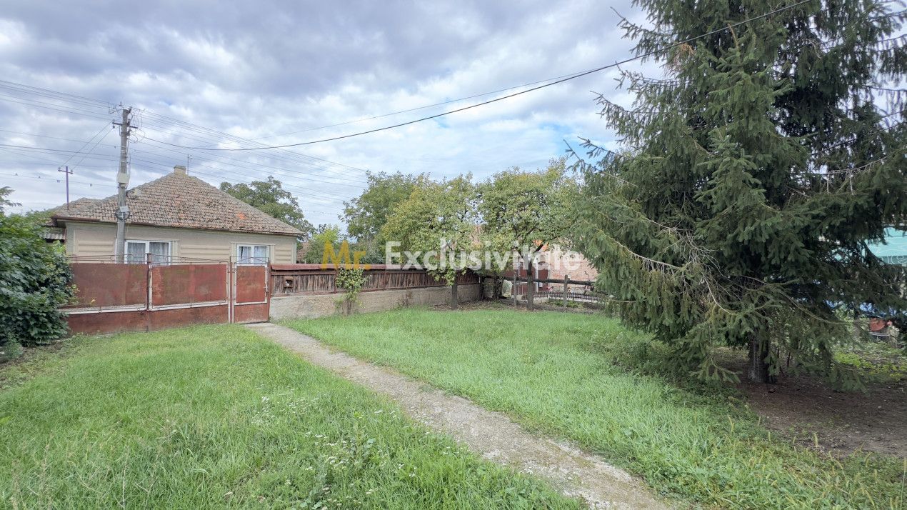 Casă 3 camere, Teren 3.263 mp, Str.Mărășești Nr.16 -Carei-Comision 0% cumpărător - Poză 9