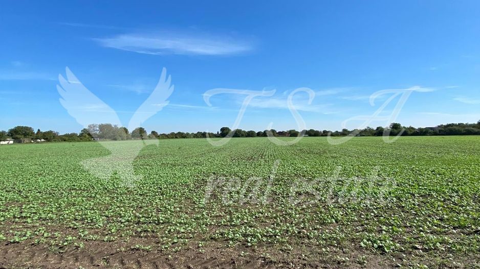 Teren Intravilan 825mp Cu dubla deschidere si Drum de servitute, Dascalu  Ilfov - Poză 5