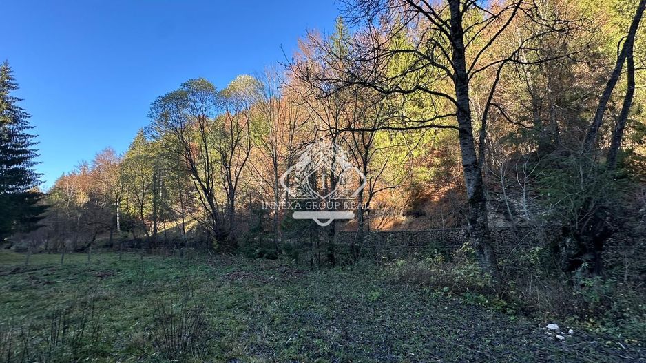 Teren 2.882 mp – oportunitate investitie - Cheile Dâmbovicioarei - Poză 7