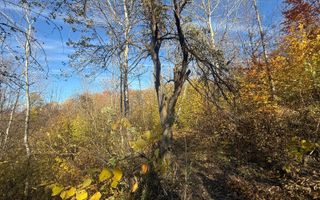 Teren langa pădure 6400mp+casa demolabila-deschidere 35 ml - Poză 16