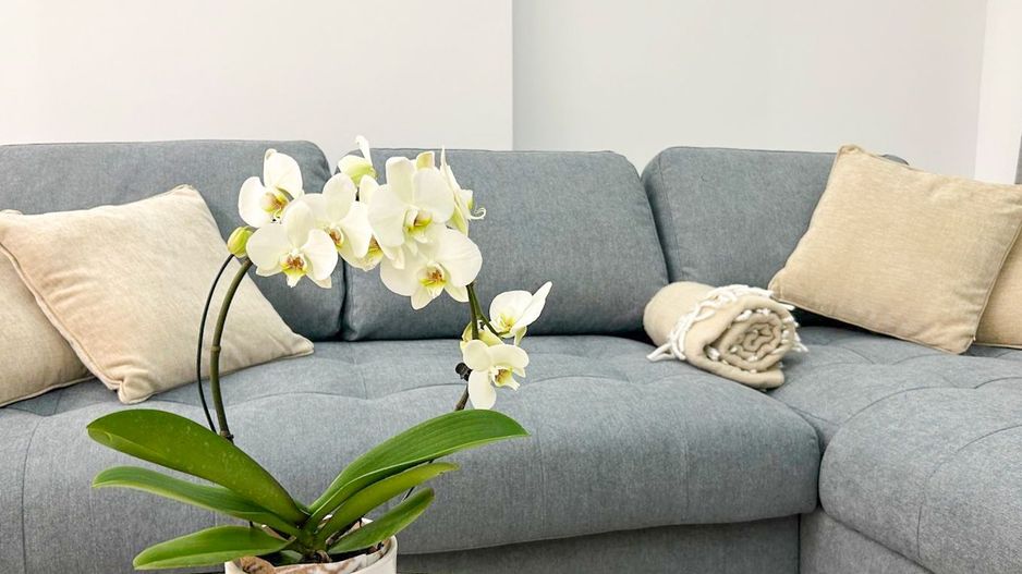 Chirie I Apartament 3 camere I Cortina North - Poză 3