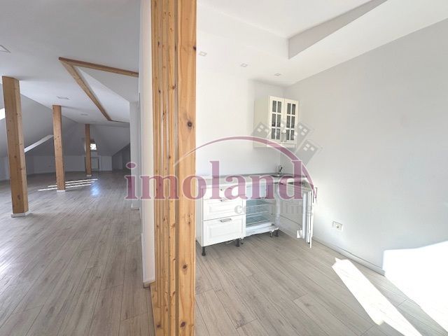 Inchiriere Vila Interbelica cu Curte - Birou - Dorobanti - Capitale - Poză 20