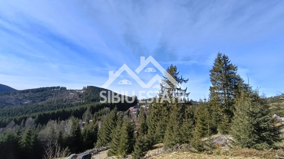 Teren de vânzare în zona montană a județului Alba - Poză 8