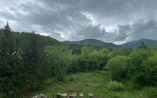 Investiție cu suflet: Pensiune de vânzare pe Valea Avrigului - Poză 11