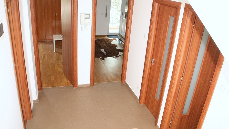 BRANESTI, cu deschidere la Balta Branesti, inchiriere vila 7 camere - Poză 14