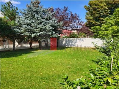 Inchiriere  Vila  Erou  Iancu de Nicolaie - Jolie Ville - Poză 32