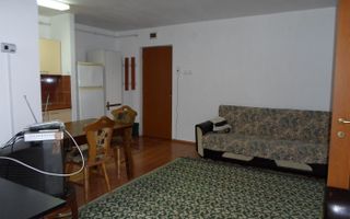 Apartament 1 camera cu nisa de dormit str. C-tin Brancusi ! - Poză 6