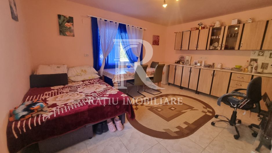 Casă renovata cu teren generos | Anexe | Gurasada | Hunedoara - Poză 22