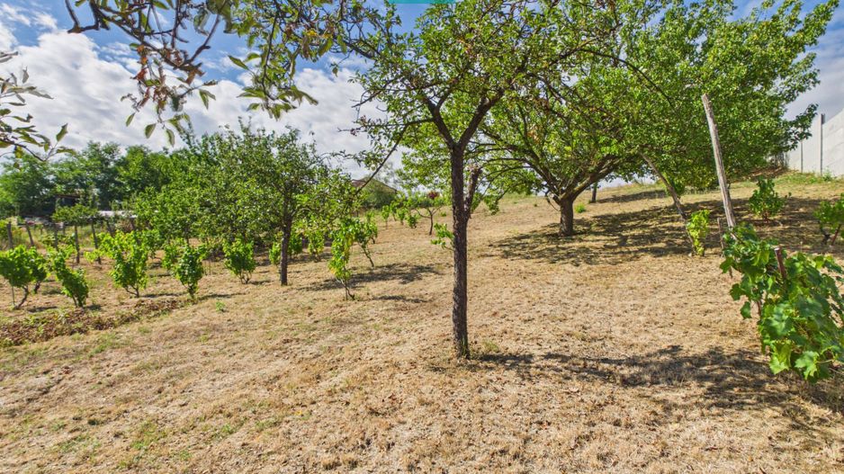 Casă din lemn în Uileacu de Munte – teren 2140 mp - Poză 28