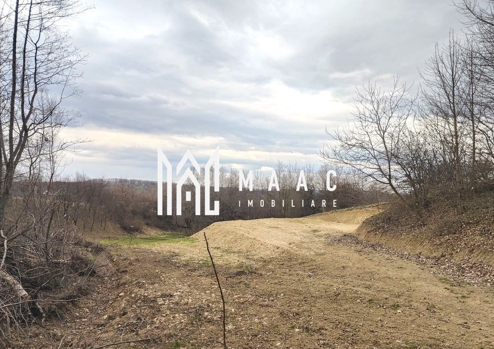 Teren extravilan agricol 1.184 mp | Sibiel | utilități la 100 m - Poză 7