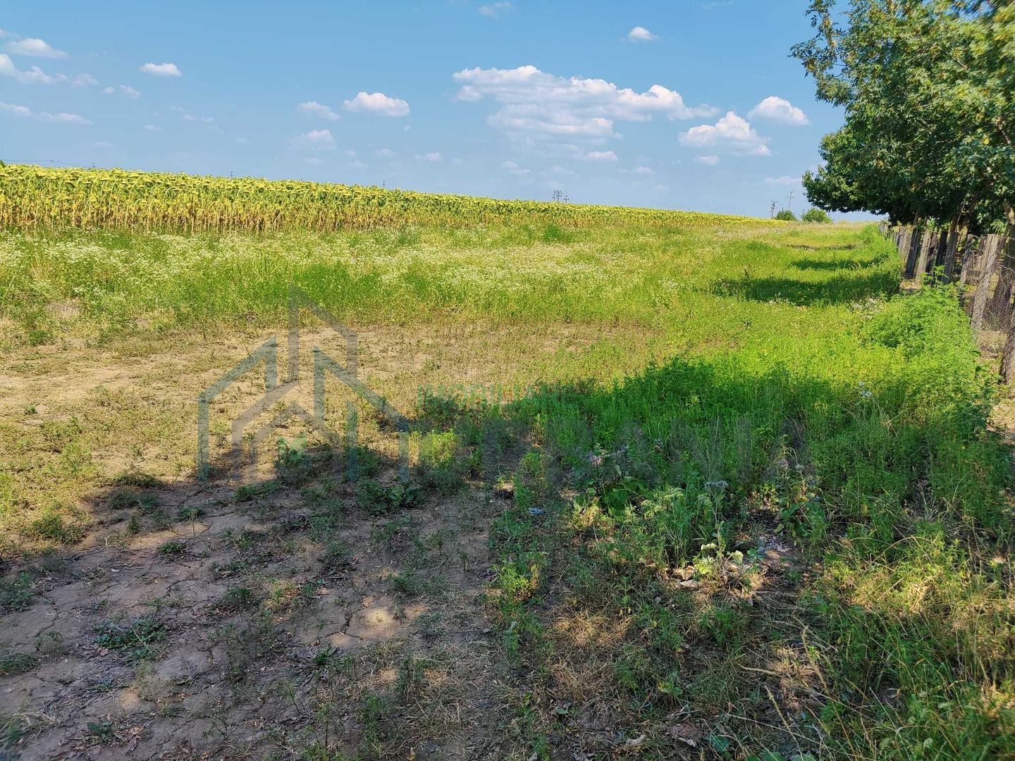 Teren intravilan de 1300 mp în sat Popricani, comuna Popricani, județul Iași - Poză 2