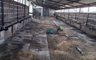 Vand casa cu grajd si teren in Satu Mare Com Craidorolot Jud Satu Mare 2 - Poză 7