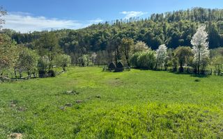 TEREN INTRAVILAN 2592 MP,  ALBESTI DE MUSCEL, ARGES - Poză 16