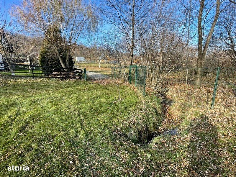 Teren 3349 mp de Vânzare | Bran – Panoramă Munții Bucegi - Poză 7