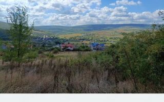 Teren intravilan de vanzare in Chicerea, Tomesti - 500 mp - Poză 3