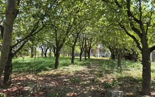 Vilă P+1 în Simeria central 320 mp, teren 1000 mp, toate utilitățile - Poză 21