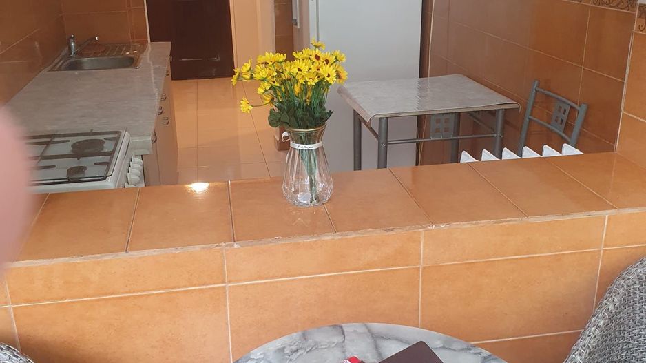 Apartament 2 camere Berceni-Nitu Vasile - Poză 8
