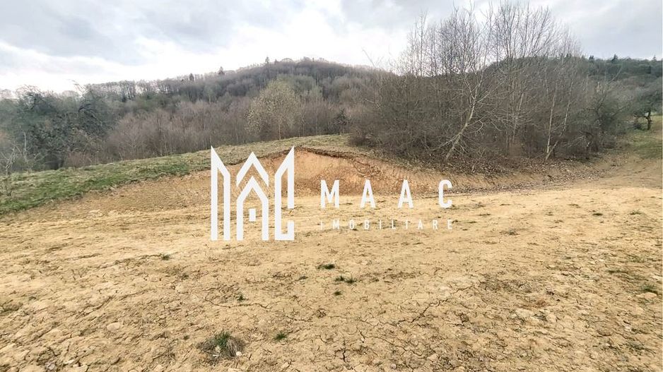 Teren extravilan agricol 1.184 mp | Sibiel | utilități la 100 m - Poză 3
